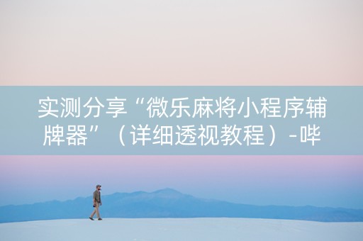 实测分享“微乐麻将小程序辅牌器”（详细透视教程）-哔哩哔哩