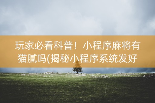 玩家必看科普！小程序麻将有猫腻吗(揭秘小程序系统发好牌)