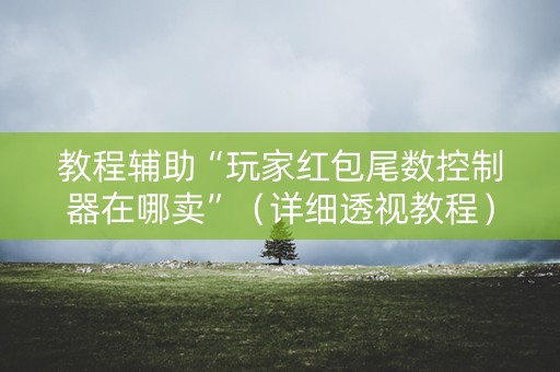 教程辅助“玩家红包尾数控制器在哪卖”（详细透视教程）-哔哩哔哩
