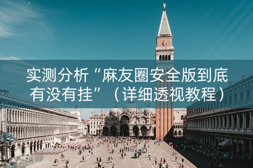 实测分析“麻友圈安全版到底有没有挂”（详细透视教程）-哔哩哔哩