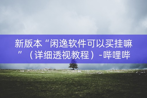 新版本“闲逸软件可以买挂嘛”（详细透视教程）-哔哩哔哩