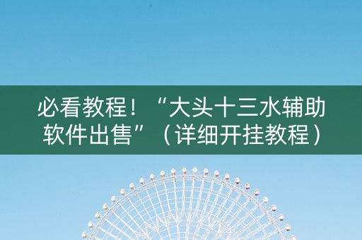 必看教程！“大头十三水辅助软件出售”（详细开挂教程）-哔哩哔哩
