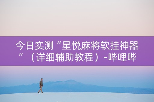 今日实测“星悦麻将软挂神器”（详细辅助教程）-哔哩哔哩