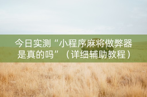 今日实测“小程序麻将做弊器是真的吗”（详细辅助教程）-哔哩哔哩