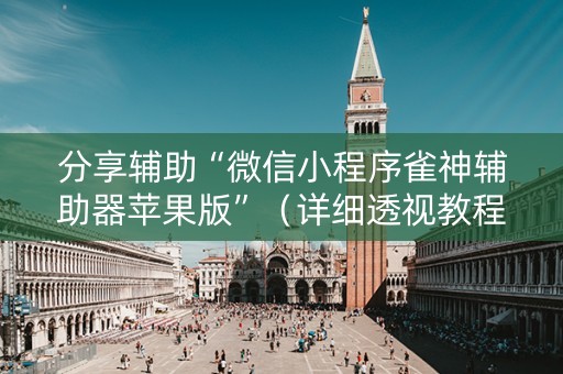 分享辅助“微信小程序雀神辅助器苹果版”（详细透视教程）-哔哩哔哩