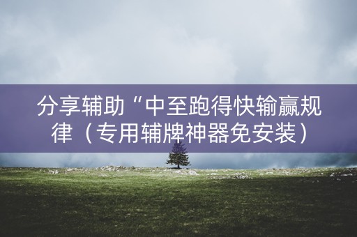 分享辅助“中至跑得快输赢规律（专用辅牌神器免安装）
