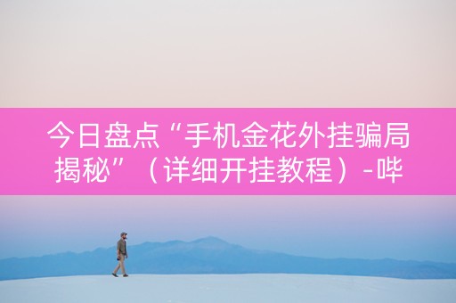 今日盘点“手机金花外挂骗局揭秘”（详细开挂教程）-哔哩哔哩