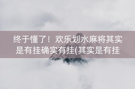 终于懂了！欢乐划水麻将其实是有挂确实有挂(其实是有挂的)