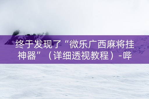 终于发现了“微乐广西麻将挂神器”（详细透视教程）-哔哩哔哩