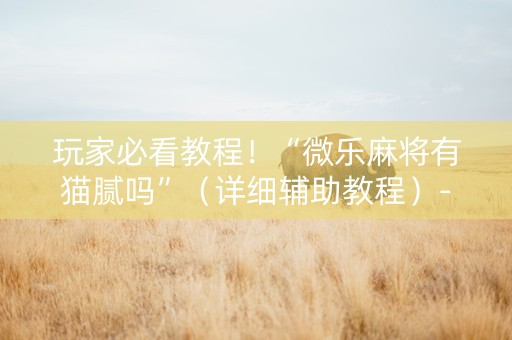 玩家必看教程！“微乐麻将有猫腻吗”（详细辅助教程）-哔哩哔哩