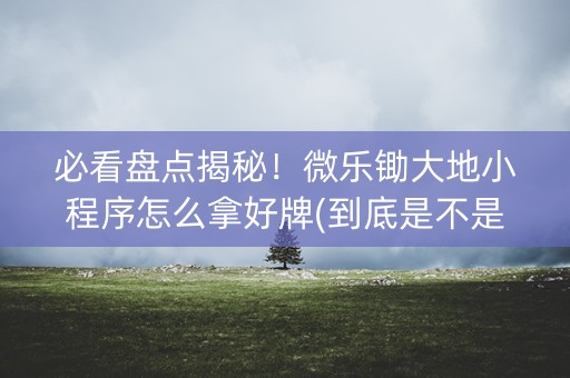 必看盘点揭秘！微乐锄大地小程序怎么拿好牌(到底是不是有挂)