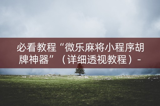 必看教程“微乐麻将小程序胡牌神器”（详细透视教程）-哔哩哔哩