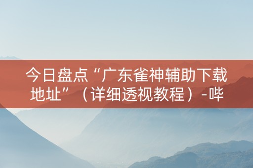 今日盘点“广东雀神辅助下载地址”（详细透视教程）-哔哩哔哩