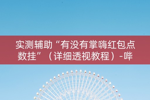 实测辅助“有没有掌嗨红包点数挂”（详细透视教程）-哔哩哔哩
