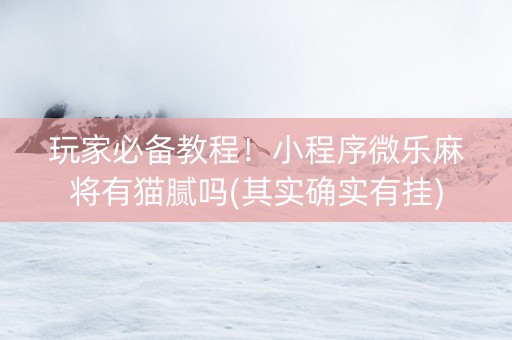 玩家必备教程！小程序微乐麻将有猫腻吗(其实确实有挂)
