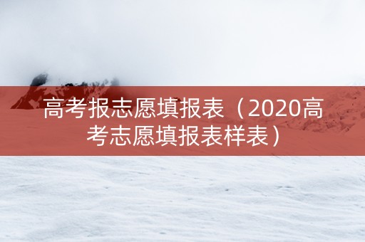 高考报志愿填报表（2020高考志愿填报表样表）