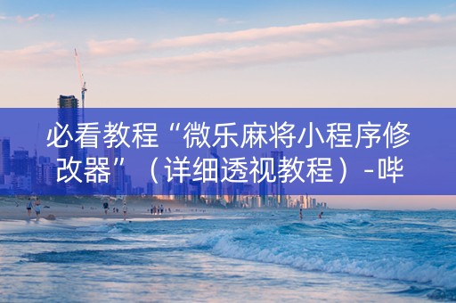 必看教程“微乐麻将小程序修改器”（详细透视教程）-哔哩哔哩