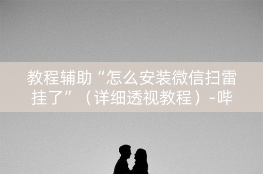 教程辅助“怎么安装微信扫雷挂了”（详细透视教程）-哔哩哔哩