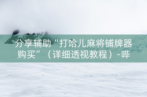 分享辅助“打哈儿麻将铺牌器购买”（详细透视教程）-哔哩哔哩