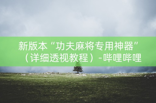 新版本“功夫麻将专用神器”（详细透视教程）-哔哩哔哩