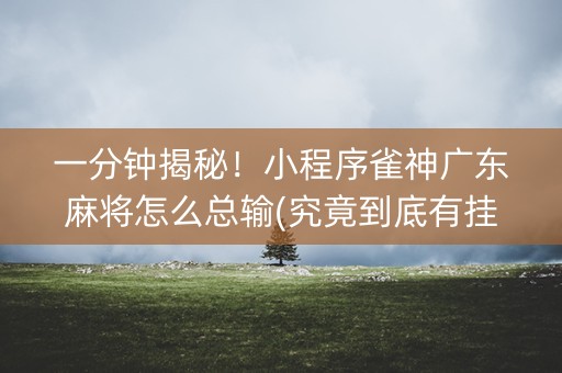 一分钟揭秘！小程序雀神广东麻将怎么总输(究竟到底有挂吗)