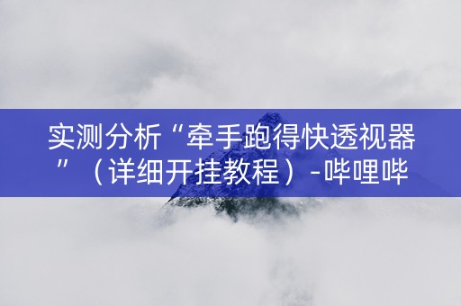 实测分析“牵手跑得快透视器”（详细开挂教程）-哔哩哔哩