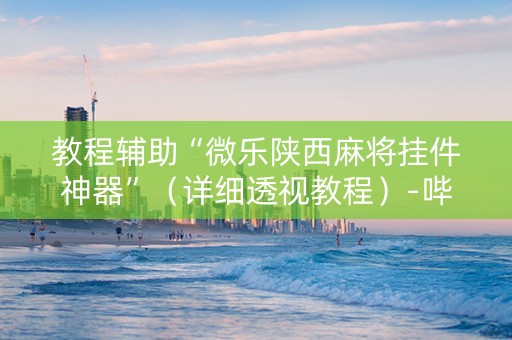 教程辅助“微乐陕西麻将挂件神器”（详细透视教程）-哔哩哔哩
