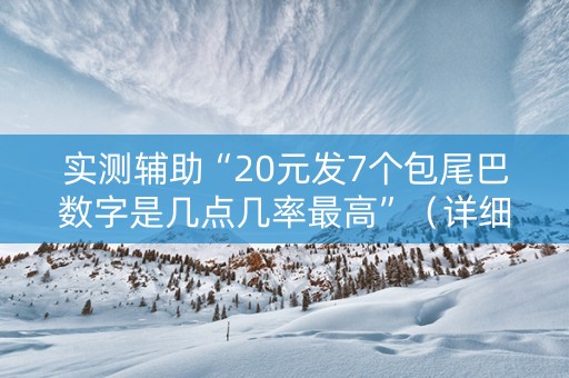 实测辅助“20元发7个包尾巴数字是几点几率最高”（详细透视教程）-哔哩哔哩
