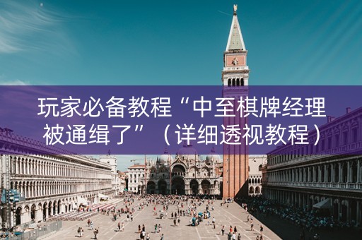 玩家必备教程“中至棋牌经理被通缉了”（详细透视教程）-哔哩哔哩
