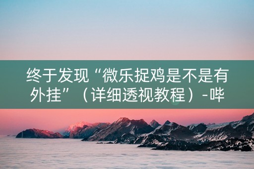 终于发现“微乐捉鸡是不是有外挂”（详细透视教程）-哔哩哔哩