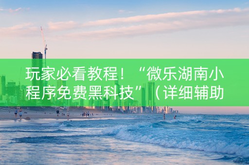 玩家必看教程！“微乐湖南小程序免费黑科技”（详细辅助教程）-哔哩哔哩