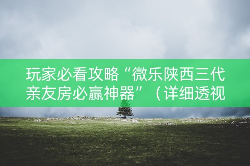 玩家必看攻略“微乐陕西三代亲友房必赢神器”（详细透视教程）-哔哩哔哩