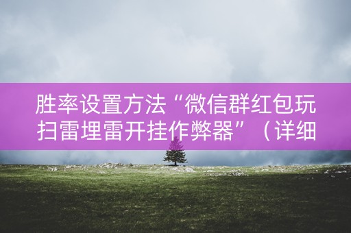 胜率设置方法“微信群红包玩扫雷埋雷开挂作弊器”（详细透视教程）-哔哩哔哩