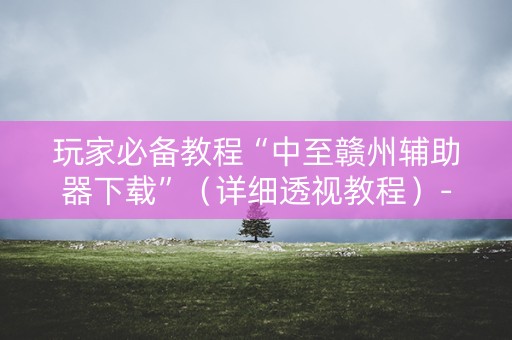 玩家必备教程“中至赣州辅助器下载”（详细透视教程）-哔哩哔哩