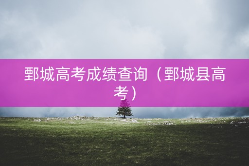 鄄城高考成绩查询（鄄城县高考）