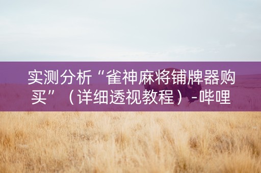 实测分析“雀神麻将铺牌器购买”（详细透视教程）-哔哩哔哩