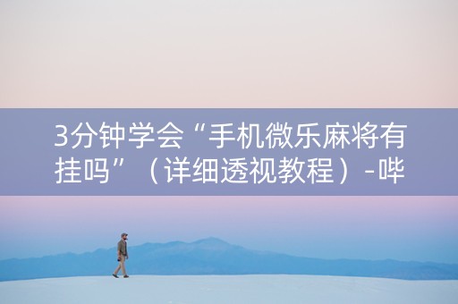 3分钟学会“手机微乐麻将有挂吗”（详细透视教程）-哔哩哔哩