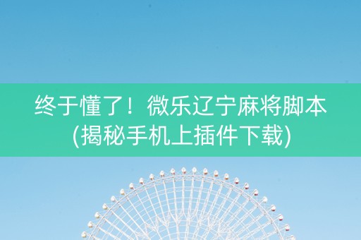 终于懂了！微乐辽宁麻将脚本(揭秘手机上插件下载)