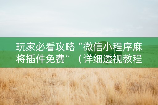 玩家必看攻略“微信小程序麻将插件免费”（详细透视教程）-哔哩哔哩