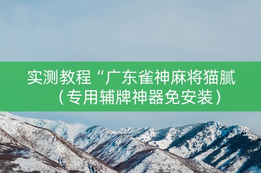 实测教程“广东雀神麻将猫腻（专用辅牌神器免安装）