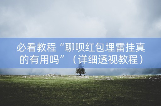必看教程“聊呗红包埋雷挂真的有用吗”（详细透视教程）-哔哩哔哩