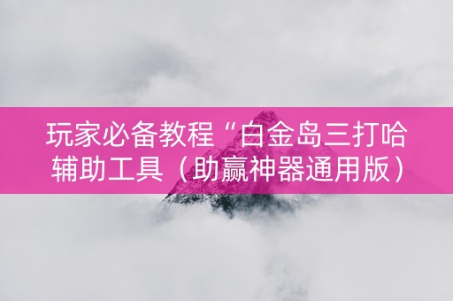 玩家必备教程“白金岛三打哈辅助工具（助赢神器通用版）
