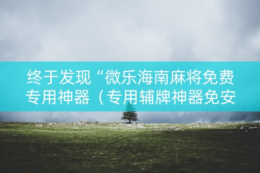 终于发现“微乐海南麻将免费专用神器（专用辅牌神器免安装）