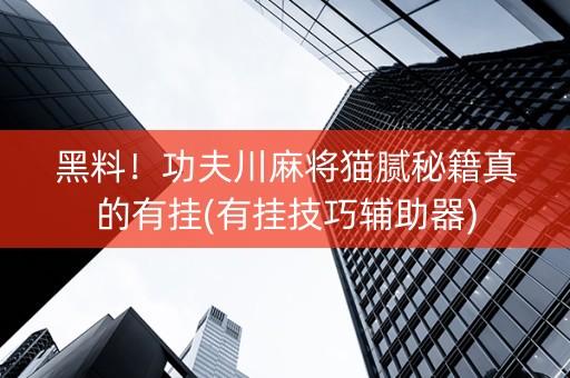 黑料！功夫川麻将猫腻秘籍真的有挂(有挂技巧辅助器)
