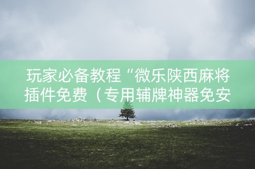 玩家必备教程“微乐陕西麻将插件免费（专用辅牌神器免安装）