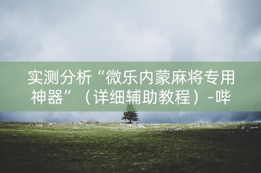 实测分析“微乐内蒙麻将专用神器”（详细辅助教程）-哔哩哔哩
