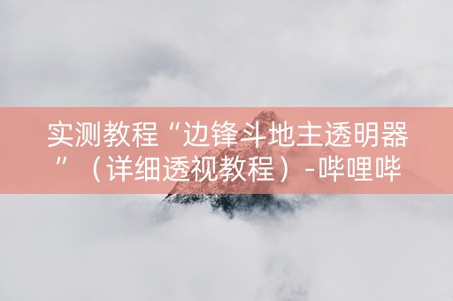 实测教程“边锋斗地主透明器”（详细透视教程）-哔哩哔哩