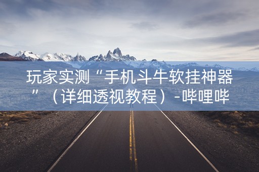 玩家实测“手机斗牛软挂神器”（详细透视教程）-哔哩哔哩