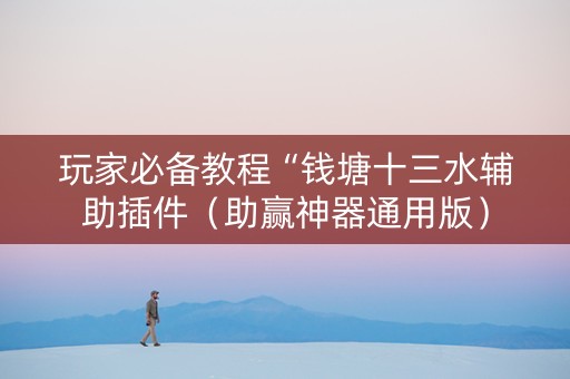 玩家必备教程“钱塘十三水辅助插件（助赢神器通用版）