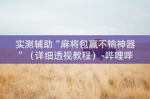 实测辅助“麻将包赢不输神器”（详细透视教程）-哔哩哔哩